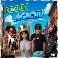 AGACHU (REMIX) - Single - El Guacala, D'Flow Aka La Maldad, Rony Alca & La Mas Doll