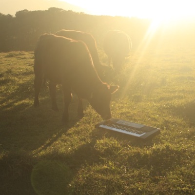 O Maior Álbum do Ano