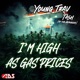 I m High As Gas Prices feat Tash Single
