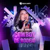 Elis Justi - Cowboy de Rodeio