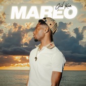 Mareo artwork