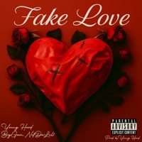 Fake Love (feat. Big Gam NotDaLul1) - Single - Young Hood