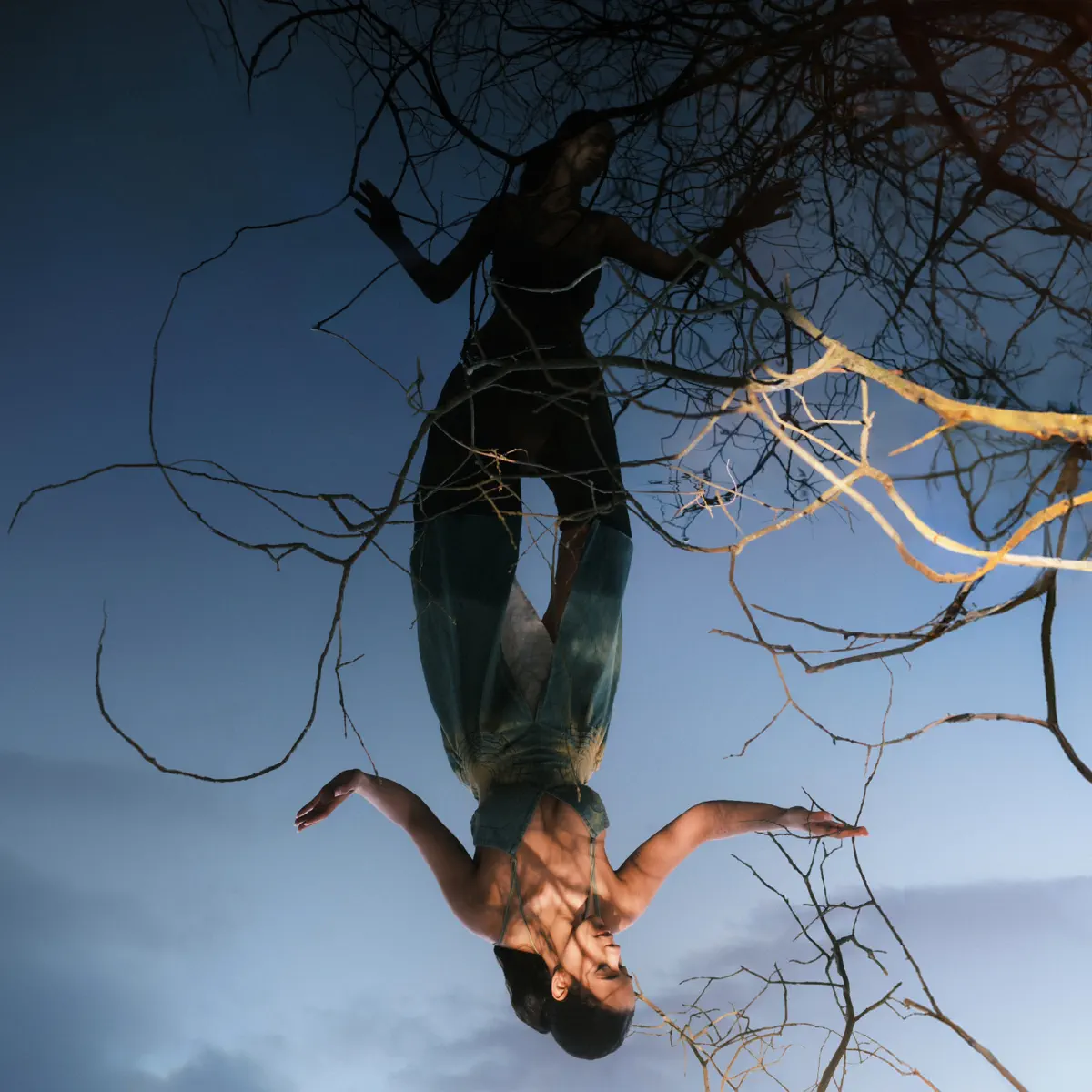 Cosha - MurMurs (2024) [iTunes Plus AAC M4A]-新房子