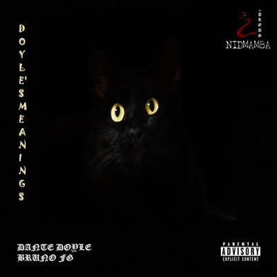 DOYLE'S MEANINGS - Single
