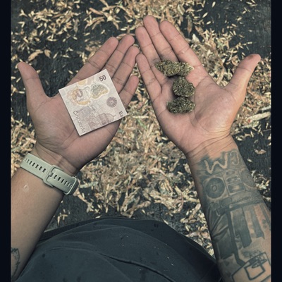 Suelo y caminar - Single