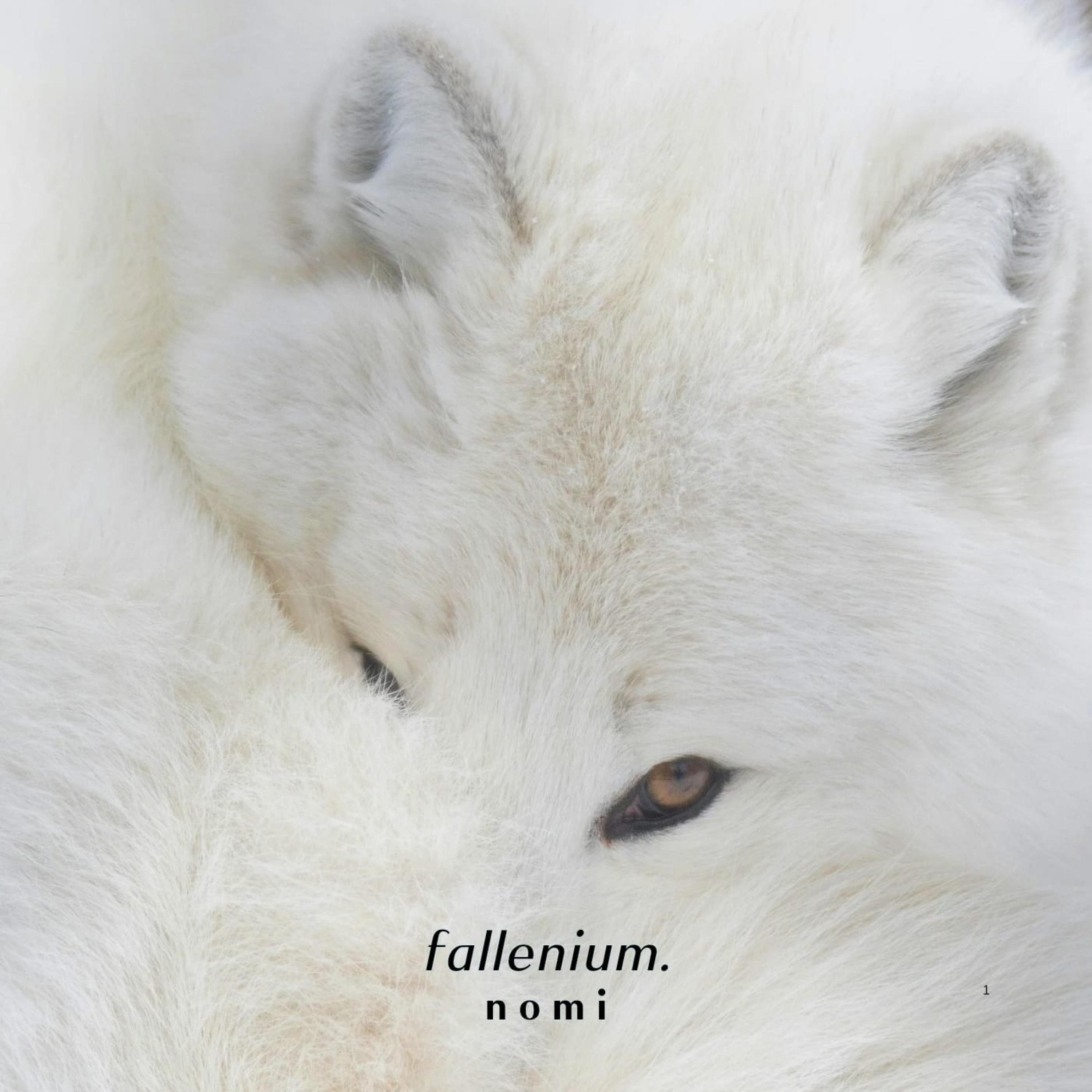 Fallenium - Nomi