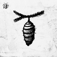 PUPA 2.0 - MOTHBOY