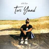 Teri Yaad - Single - Anshu Gupta