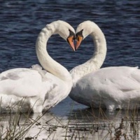 sometimes i think of u - Single - Cruzer