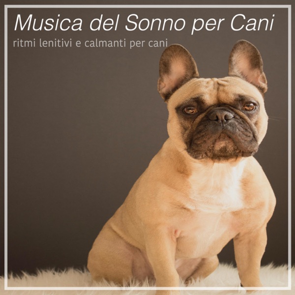 Musica del Sonno per Cani - ritmi lenitivi e calmanti per cani