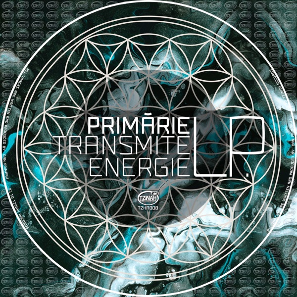 Transmite Energie