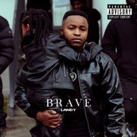BRAVE - Landy
