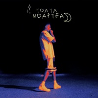 Toata Noaptea - Single - Dhali