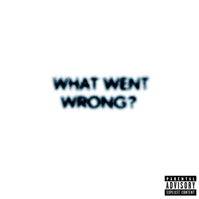 What Went Wrong? - Single