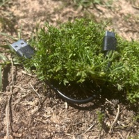 OMG! (feat. Stiffic) - Single - KLLED