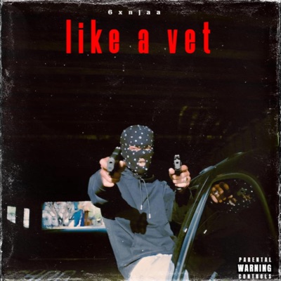 Like a Vet - Single