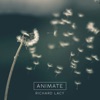 Richard Lacy, Sarah Lacy, Simeon Wood & Simon Bernard-Smith - Understory