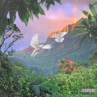 It's a Vibe (feat. Mally) - Single - Swole Hammy