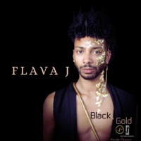 Black & Gold (feat. Michael Jenius) - Single - Flava J