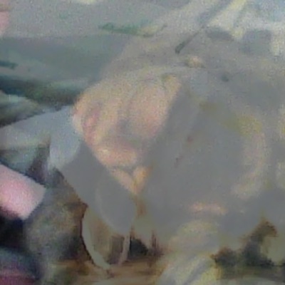 snails without shells - Single