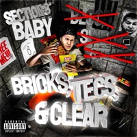 BRICKS TECS & CLEAR - Section 8 Baby