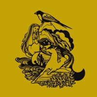 Through The Pine Forest