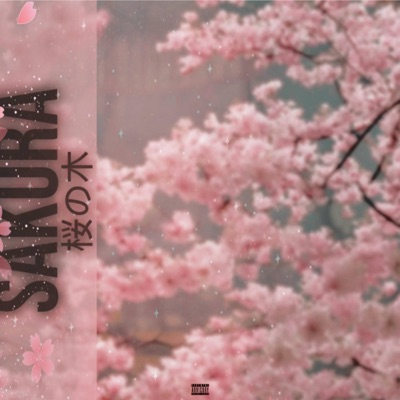 SAKURA - Single