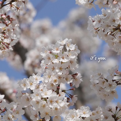 it's you - Single