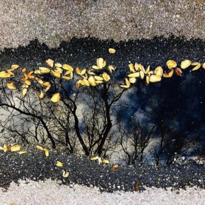 Off In The Distance (feat. Vulkari64) - Single