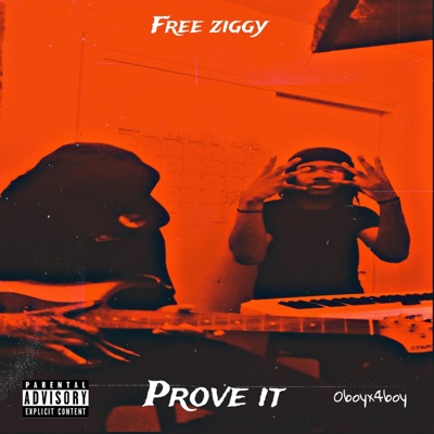PROVE IT (feat. Ziggystillkountin) - Single