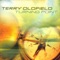 Guardian Angel - Terry Oldfield lyrics