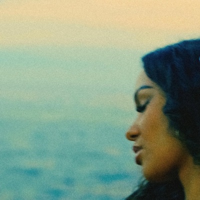 Monte-Carlo - Single