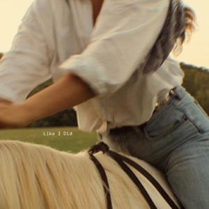 Like I Did - Single