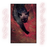 GATOS SALVAJES - Single - GATO LA PLATA