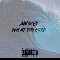 What You Hurd - Single - Awxvey