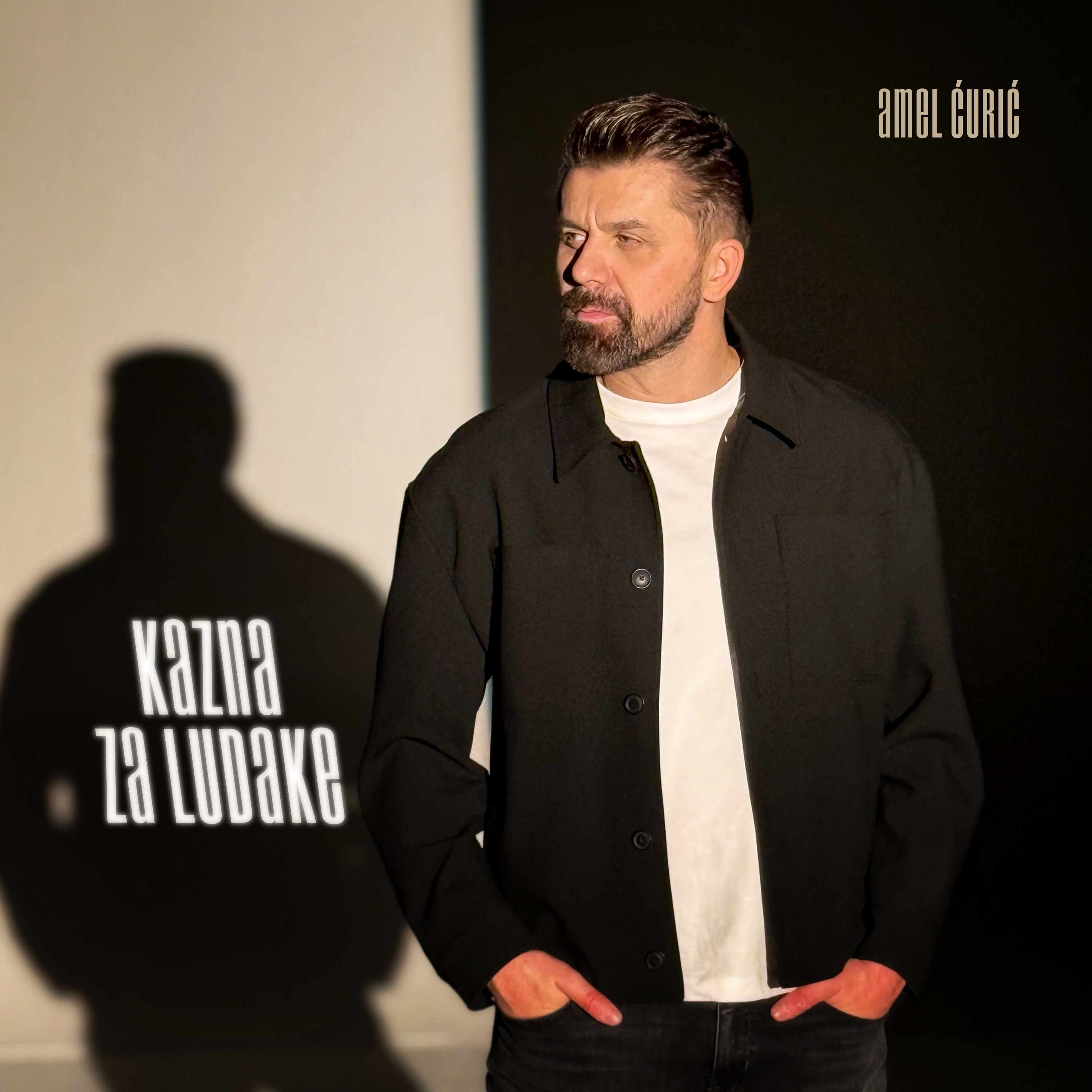 Amel Ćuric - Kazna za ludake