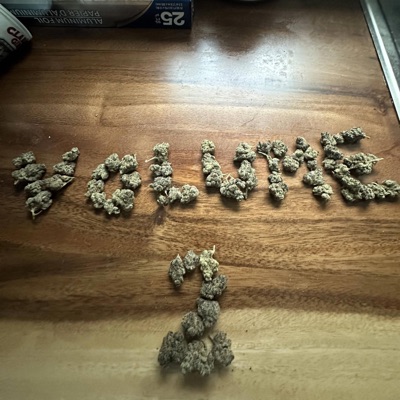 SitRep : Volume 2 - EP