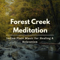 Indian flute for Meditation - Reticent Melodist