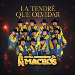 La Tendré Que Olvidar - Single