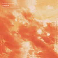 Torsion (feat. Kevin Hays & Satoshi Takeishi) - Single - Patrick Zimmerli