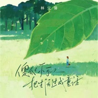 傻瓜你可以把生活过成童话 - Single - Baoxin Lin