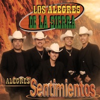 Alegres Sentimientos - Los Alegres de la Sierra