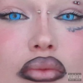 Chinchillas KUNTFETISH