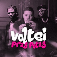 Voltei Pras Putas - Single - Lv Beat, MC RONY DA FRANÇA & 2d do catarina