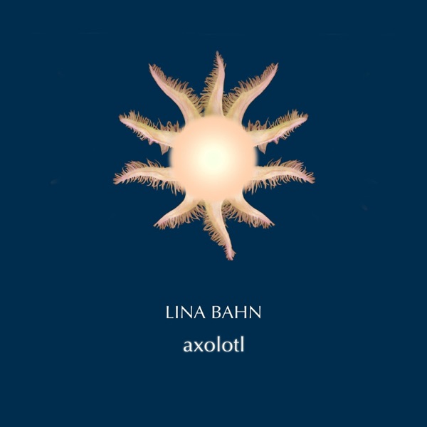 Axolotl