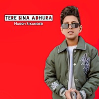 Tere Bina Adhura - Single - Harsh Sikander