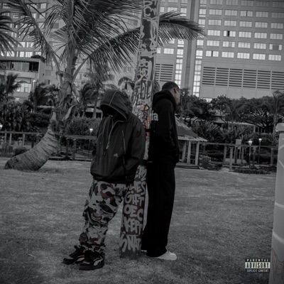 DUBANE (feat. Wethusi) - Single