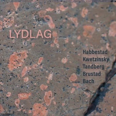 LYDLAG (Live)