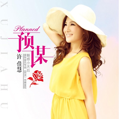 许佳慧 - 预谋 (DJ Remix)
