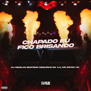 Chapado Eu Fico Brisando